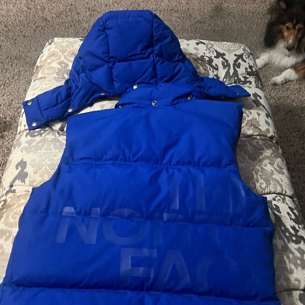 The North face